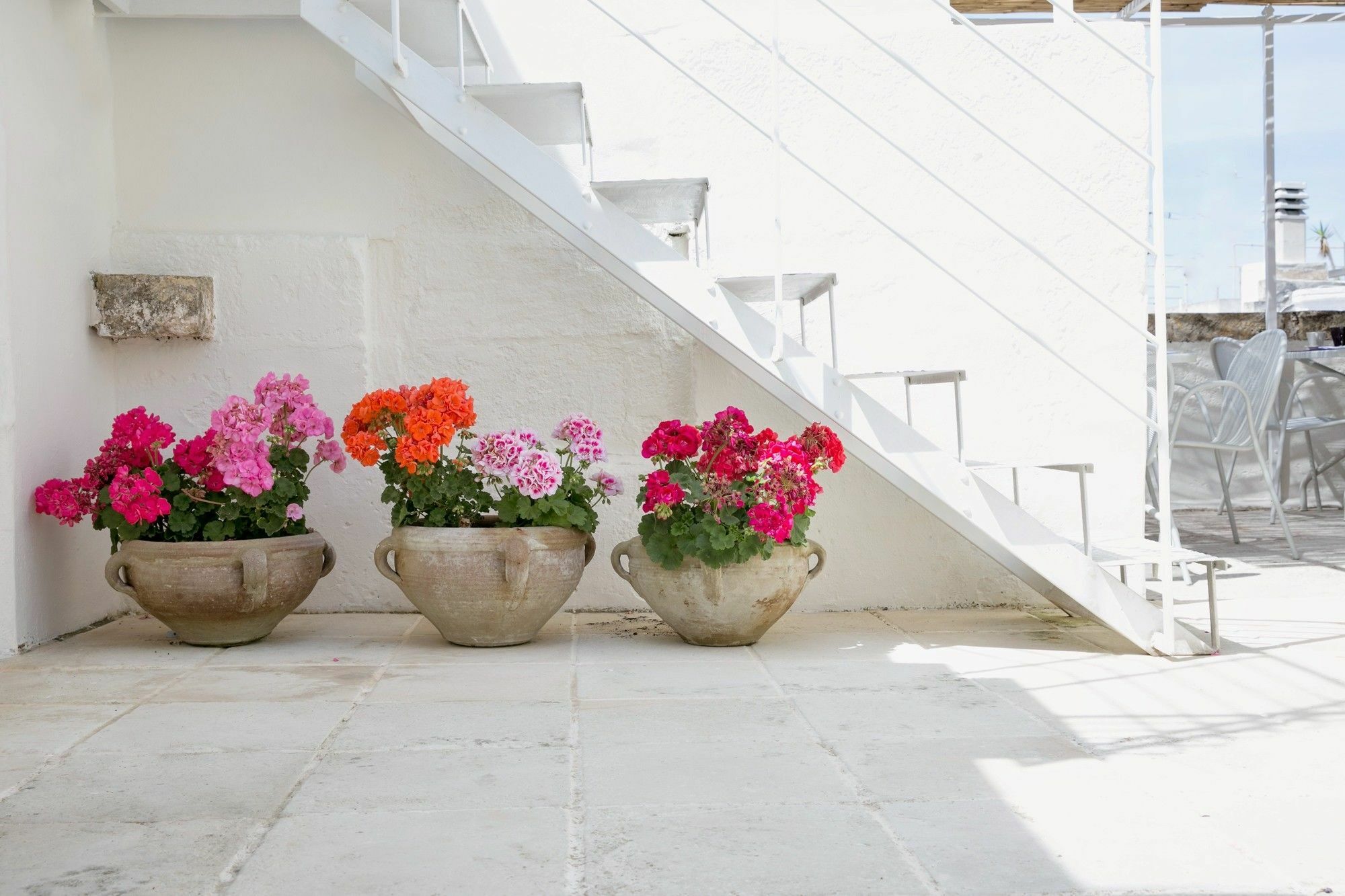Domus Dejana Bed & Breakfast Gallipoli Exterior photo